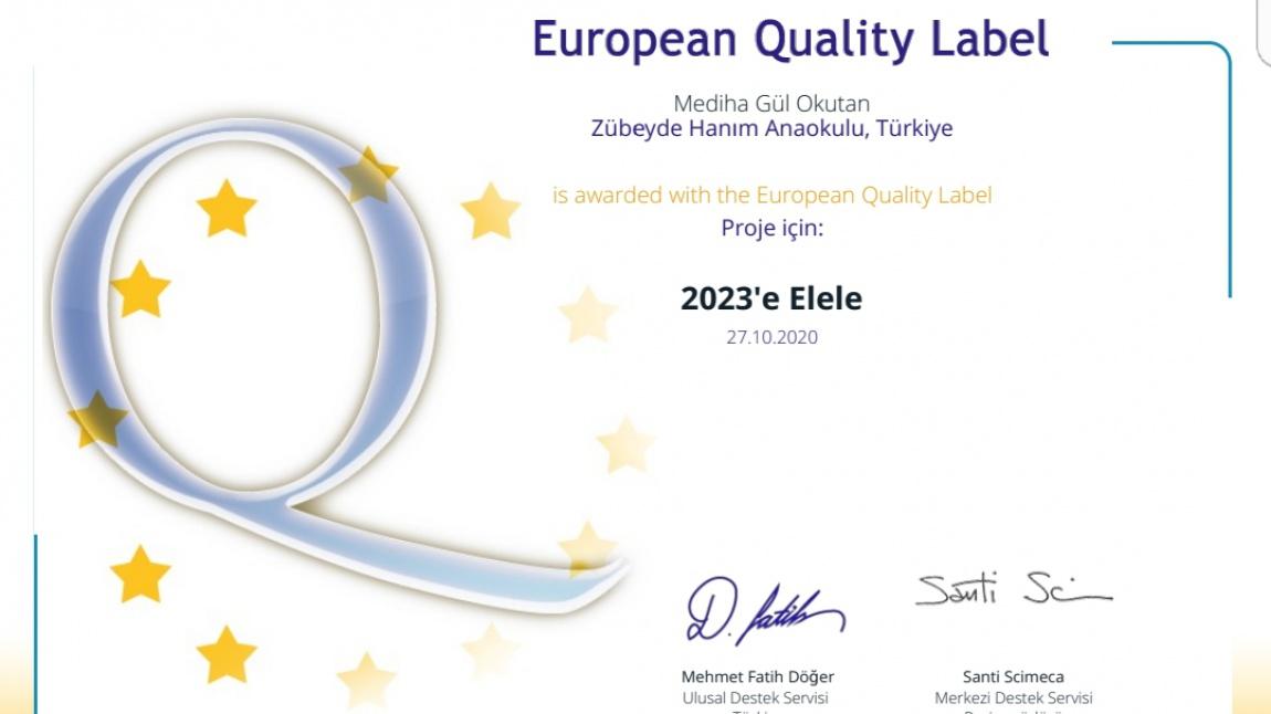 eTwinning  Projeleri Avrupa Kalite Etiketi ve Ulusal Kalite Etiketi